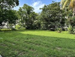 Balmoral Park (D10), Detached #523420831